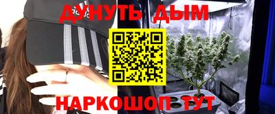 apvp Ачхой-Мартан