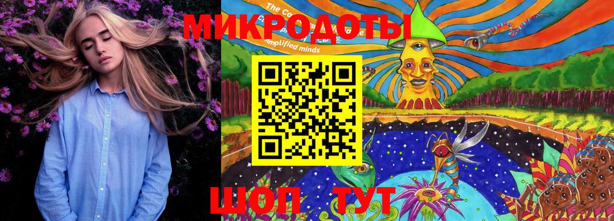 Галлюциногенные грибы Psilocybine cubensis Боровичи