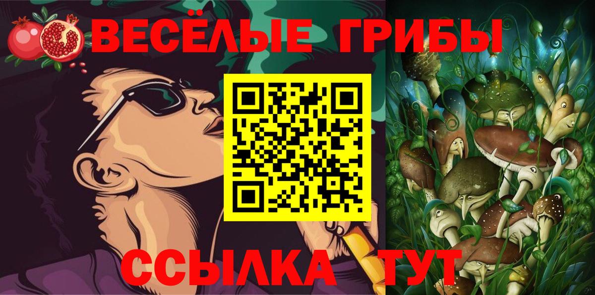 магазин продажи наркотиков  Вход с VPN  Боровичи  Галлюциногенные грибы Psilocybe 